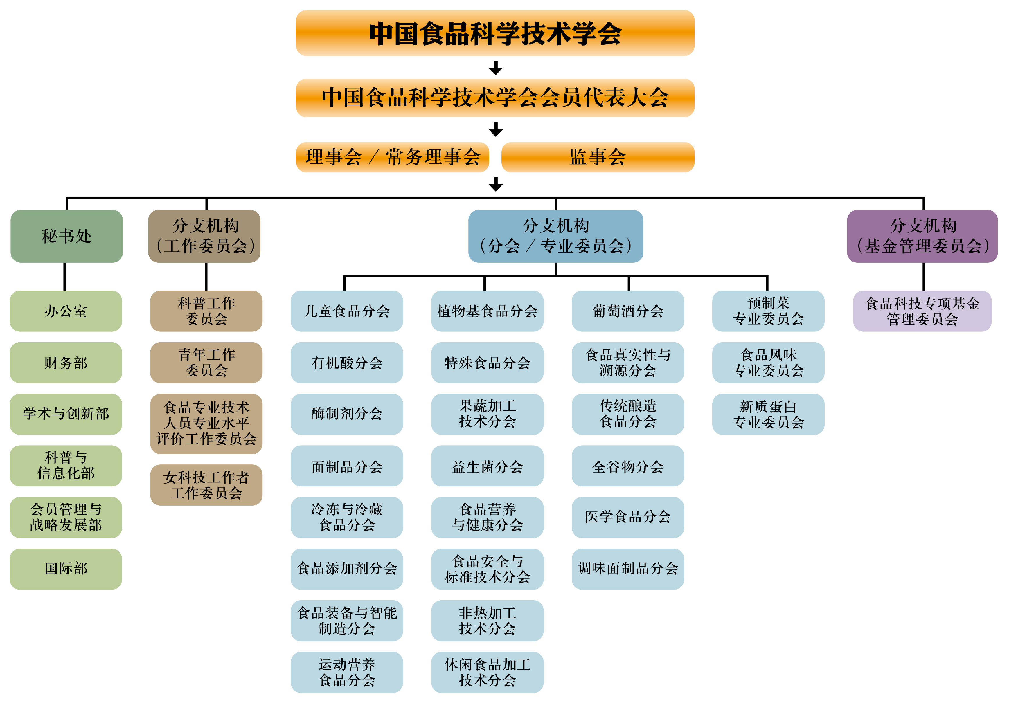 2026組織結(jié)構(gòu)圖